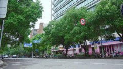 暴雨突袭后的24小时：杨浦这样守护城市安宁