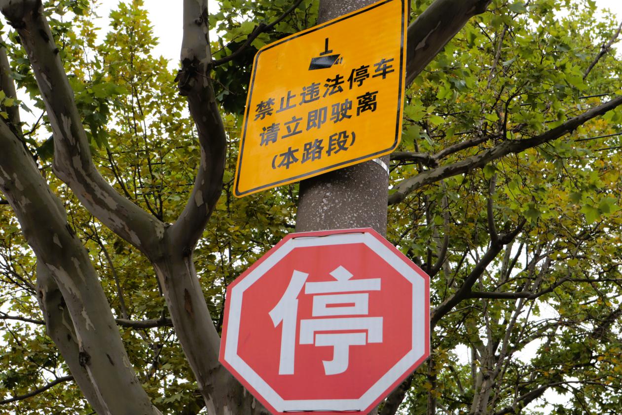 盘古路(樟岭路至克山路)公交站路段禁停指示牌。实习生 杨雯摄