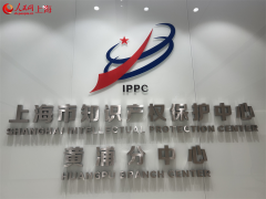 <b>蓝图已绘就，上海“十五五”锚定国际知识产权</b>