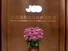 上海国际珠宝时尚功能区JSD SPACE正式对外开放
