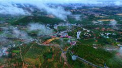 耕地、地质遗迹、自然景观……山东让更多乡土